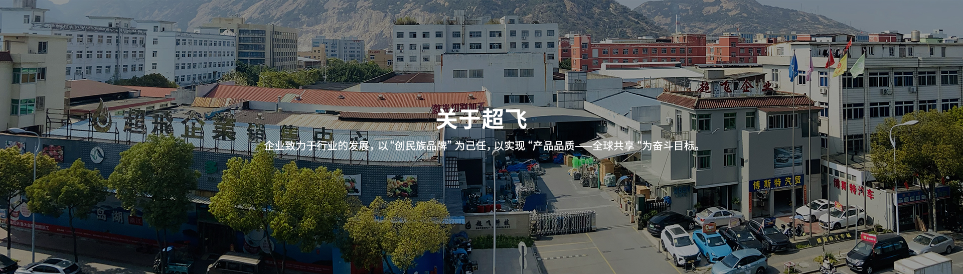 衛(wèi)生級止回閥，快裝閥門廠家